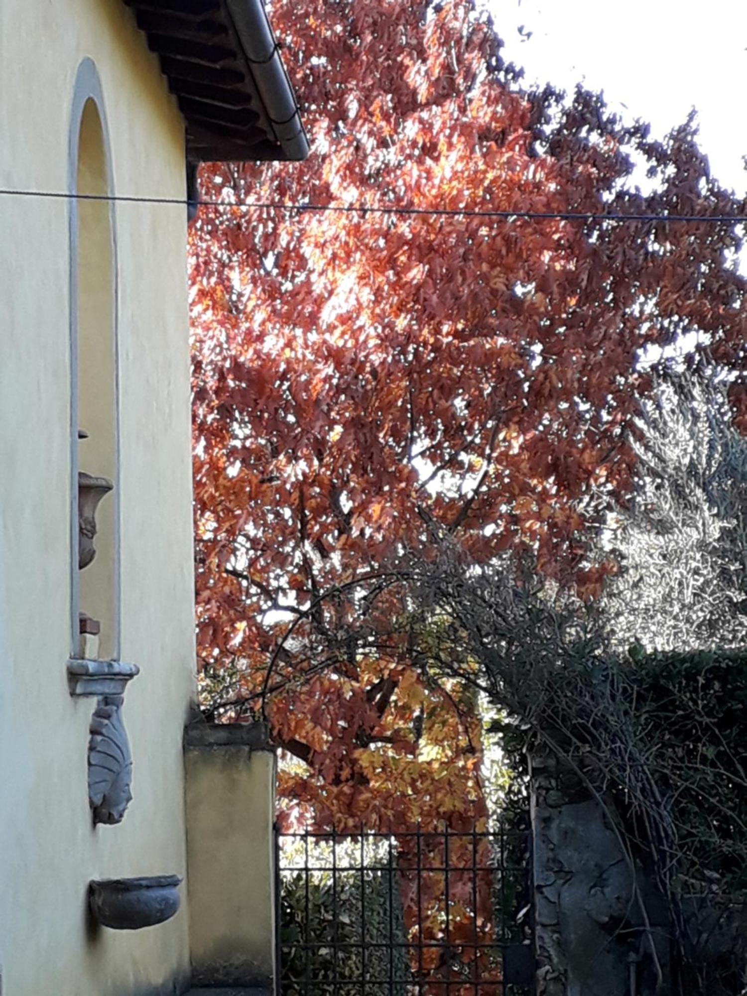 Le Pergole- Firenze Pensión Florencia
